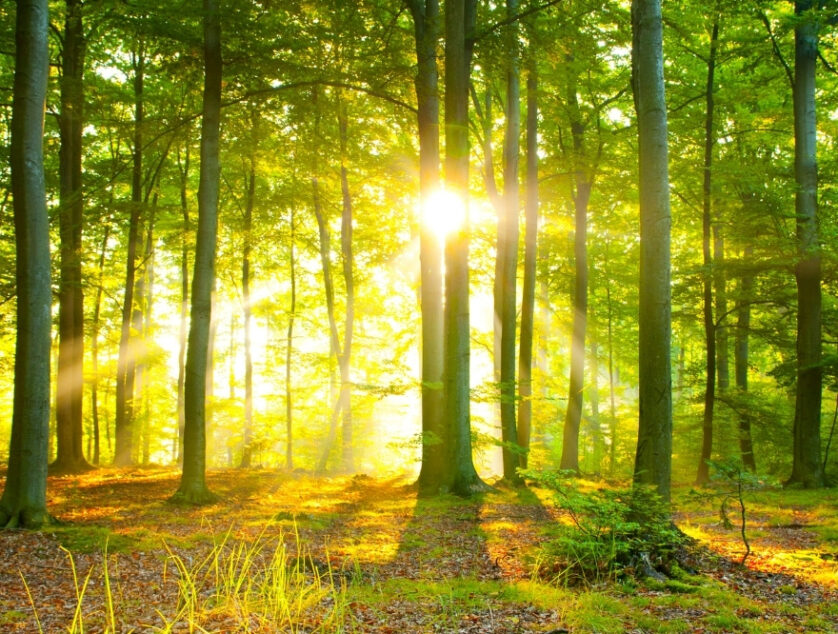 Design ohne Titel (21) Design ohne Titel (21)